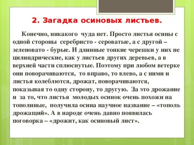 Как появилась поговорка дрожит как осиновый лист. Осина изложение. Сочинение о осине. Осенние осины сочинение. Осина сочинение 3 класс.