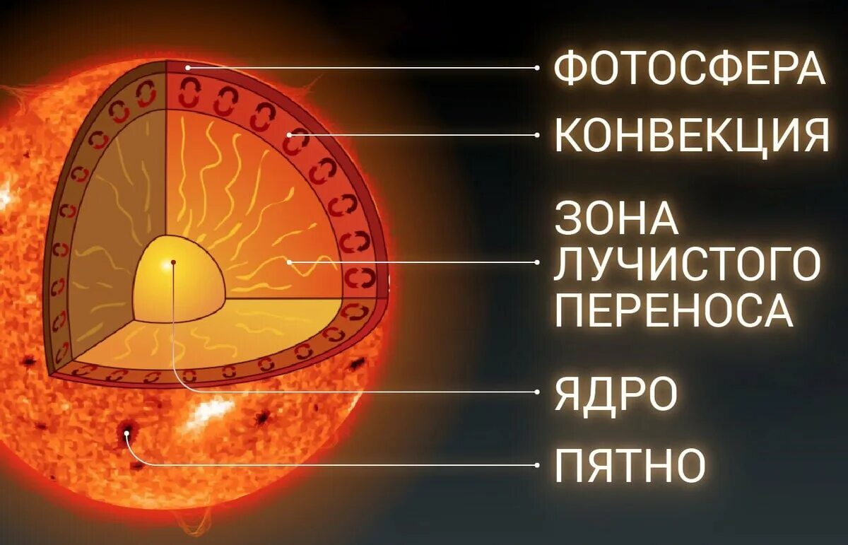 Ядро составляет примерно. Строение солнца внутреннее и внешнее. Строение солнца ядро Лучистая зона конвективная зона. Внутренне строение солнца ядро. Внутреннее строение солнца схема.