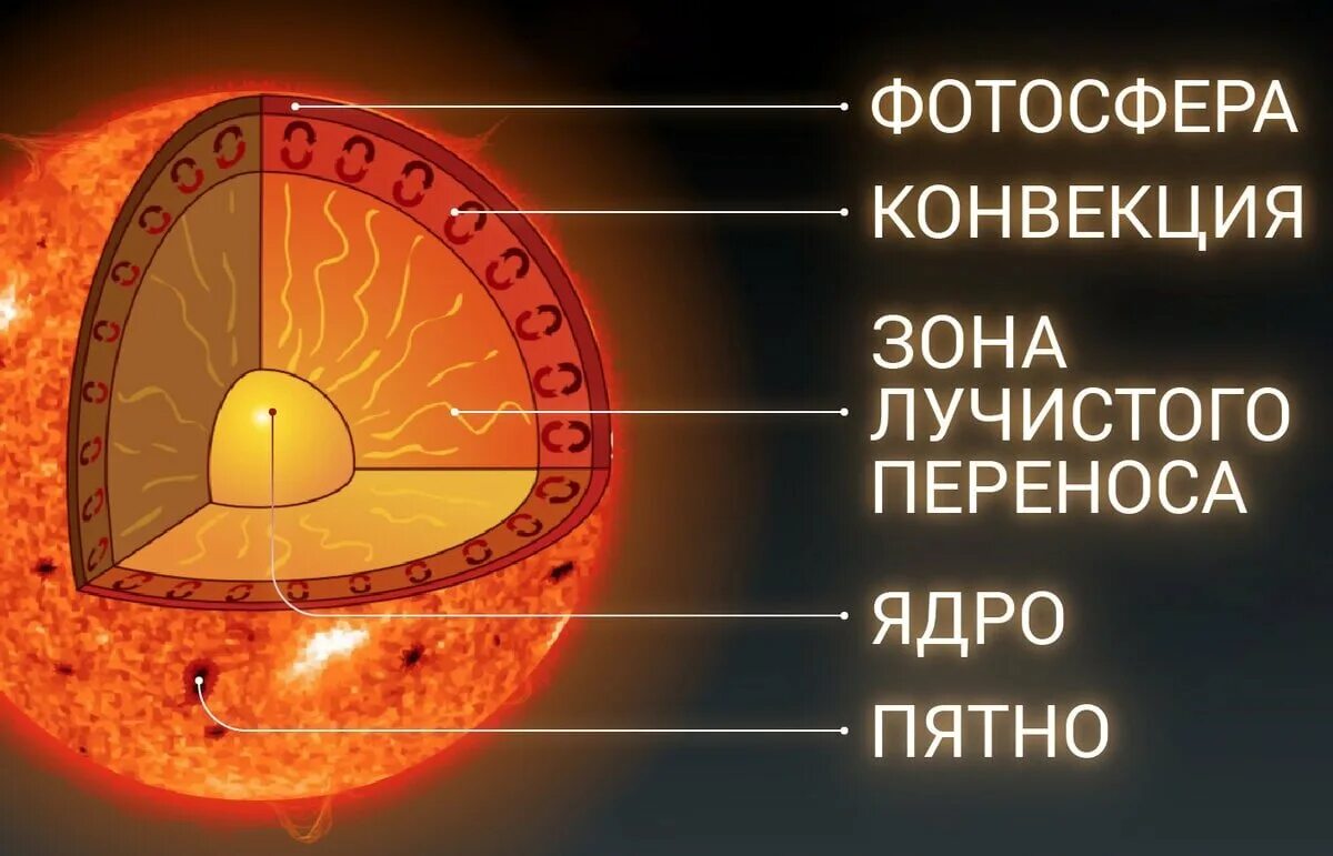 Как установить ядро. Внутреннее строение солнца фотосфера. строение солнца внутреннее и внешнее. строение солнца ядро лучистая зона конвективная зона. схема внутреннего строения солнца.
