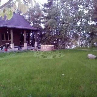 Вашина гора псковская