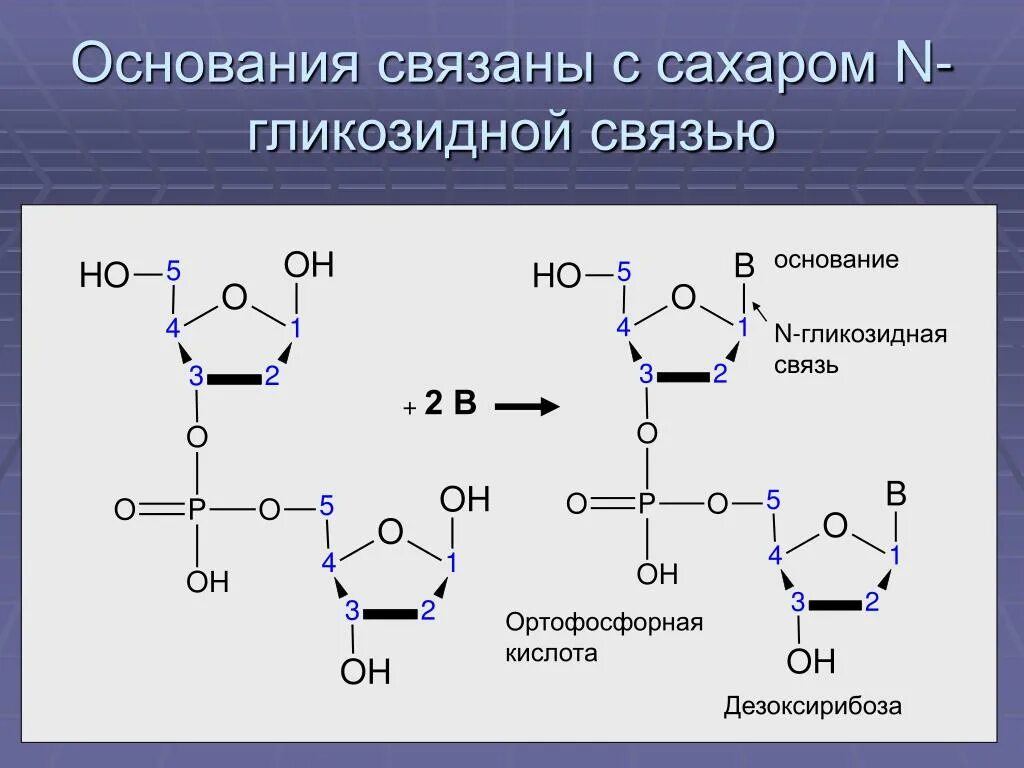 Вяжа основание. Схема название петель. Вяжа основание. Пучок из 4 столбиков с накидом. Вяжа основание.
