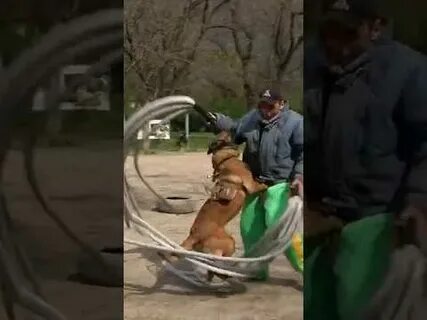 Молниеносное нападение