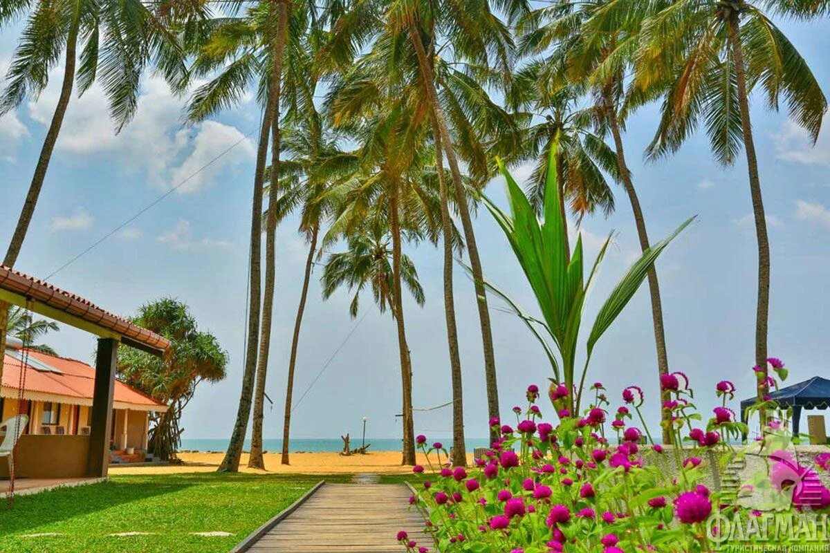 Маравила Шри Ланка. Маравила Шри Ланка Amagi Beach. Пляж Маравила Шри Ланка. Шри Ланка отель Amagi Beach 2. Amagi beach 2