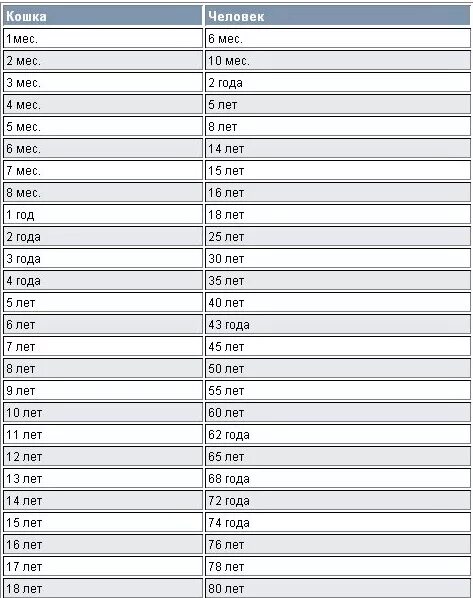 Сколько лет попугаю по человеческим. Сколько лет попугаю по человеческим меркам таблица. Возраст волнистого попугая по человеческим меркам. Возраст попугая и человека. Возраст попугая и человека таблица.