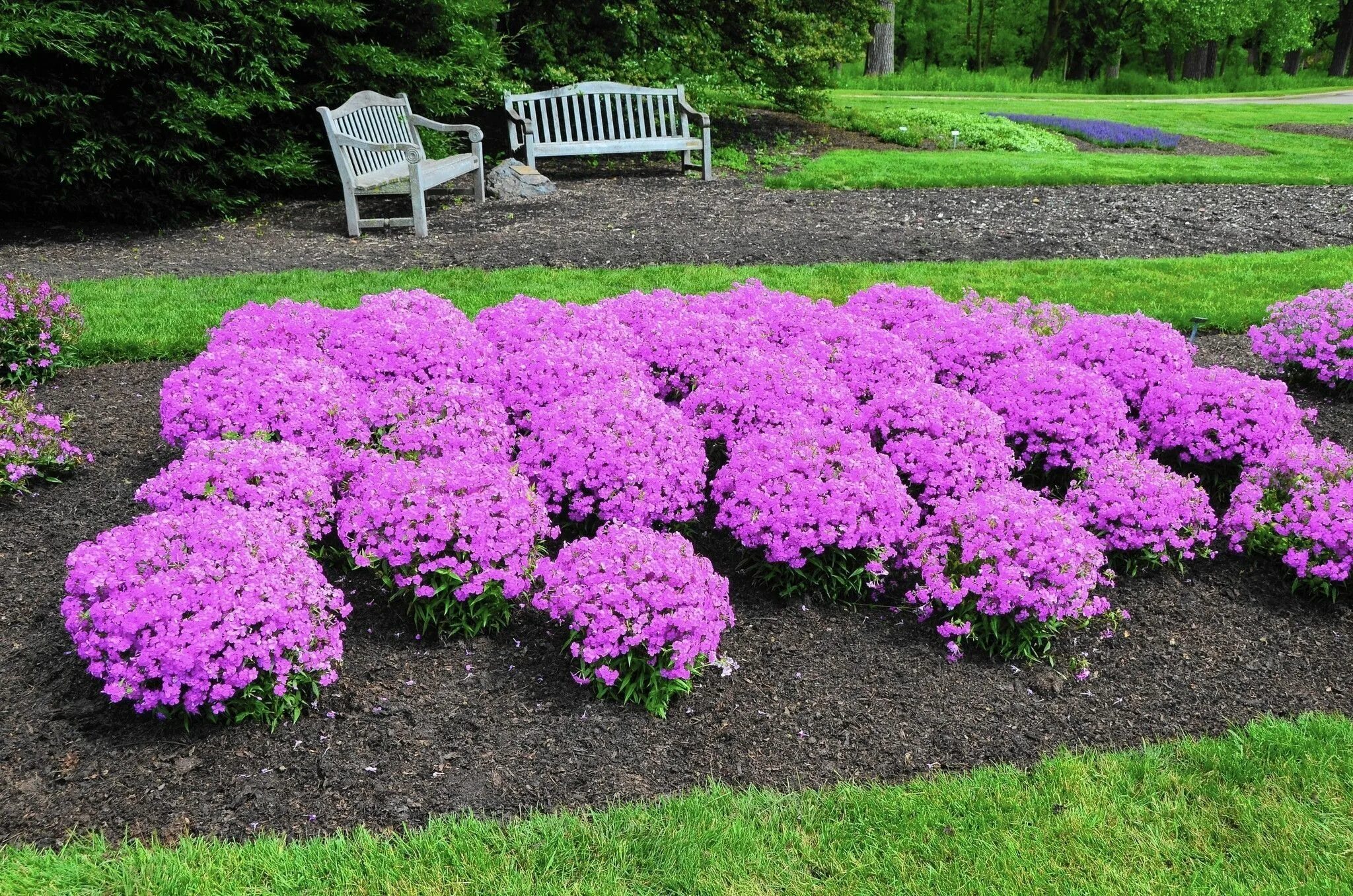 Awayto-garden.com Jardins