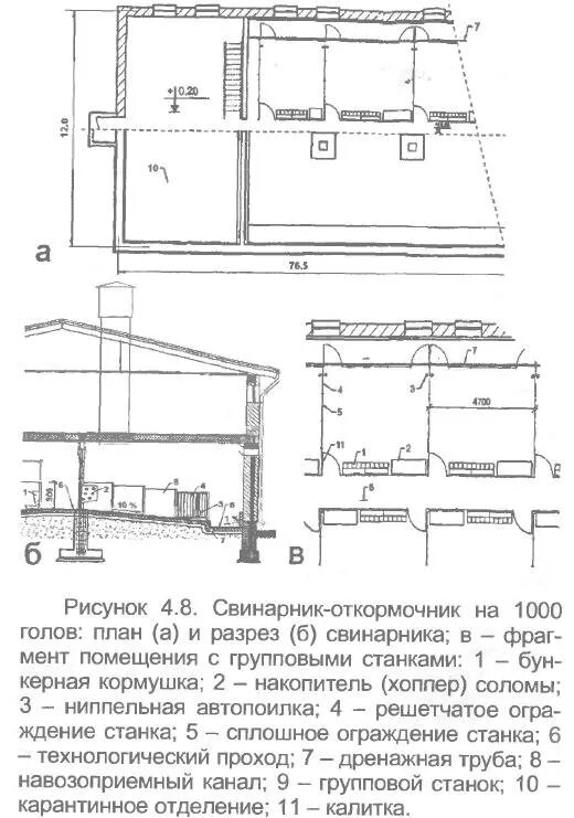 Свинарник размеры. Схема свинарника откормочника. план постройки свинарника чертеж. план свинарника для свиноматок. проект свинарника на 1000 голов.