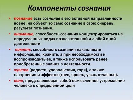 Компоненты сознания