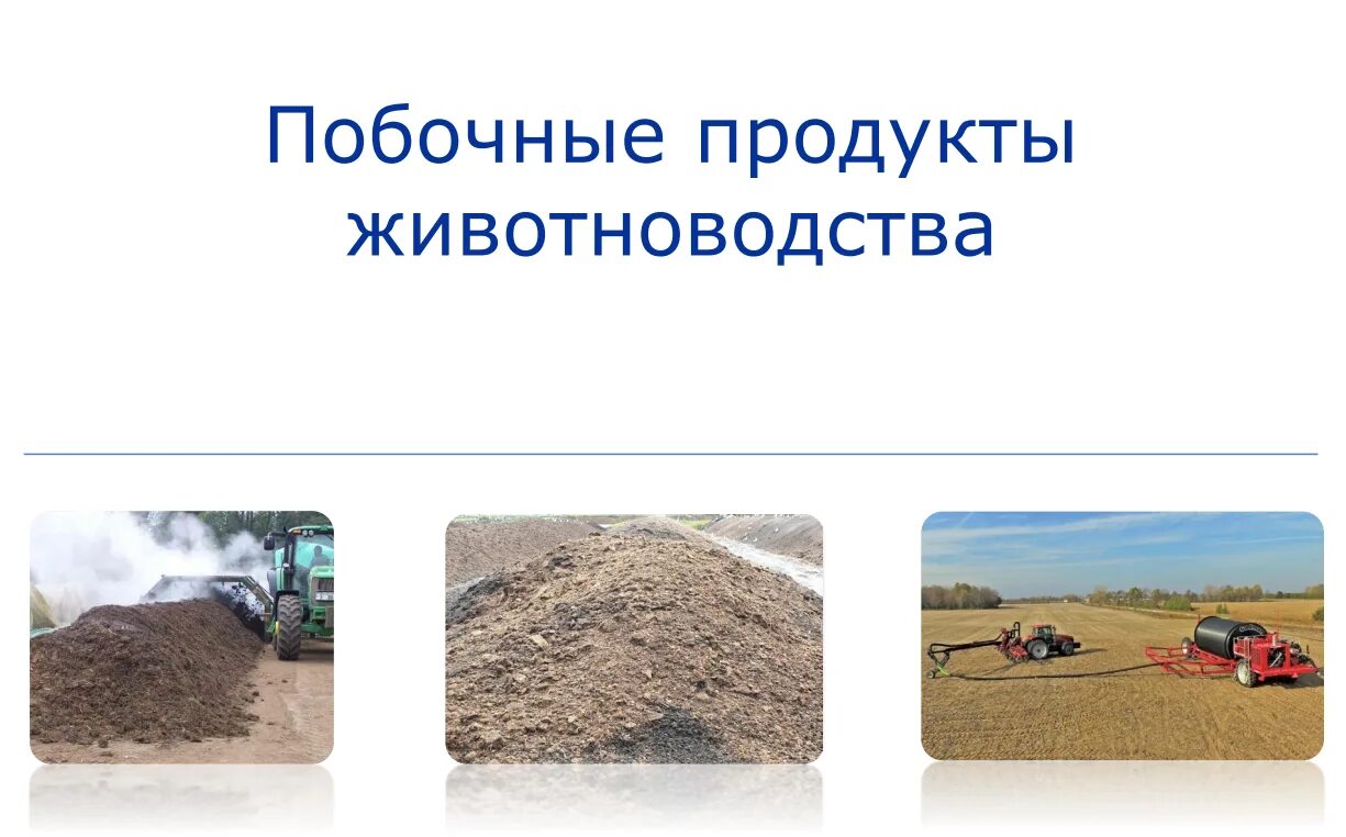 248 о побочных продуктах