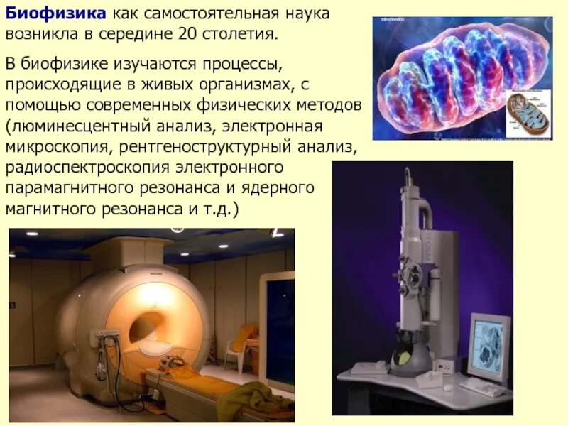Общая биофизика. Биофизика. биофизика в медицине. применение в биофизике. методы радиоспектроскопии.