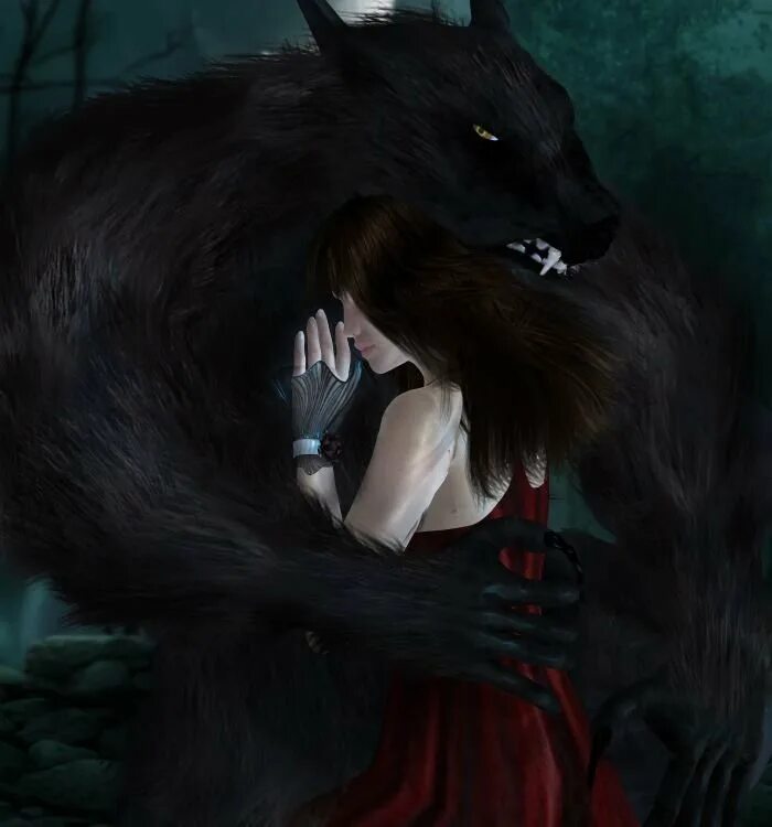 Девушка оборотень. Оборотни любовь волка. Волк оборотень werewolf любовь. Оборотни любовь волка. Волк арт.