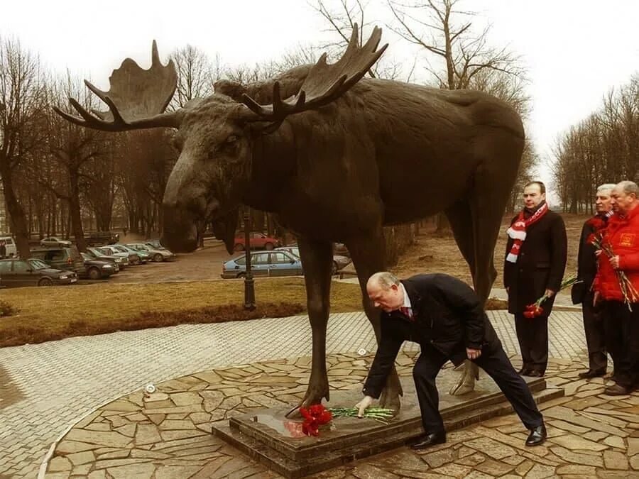 Лось победитель выжить. Памятник лосю Рашкина. Смешной Лось.