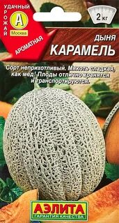 Дыня карамелька