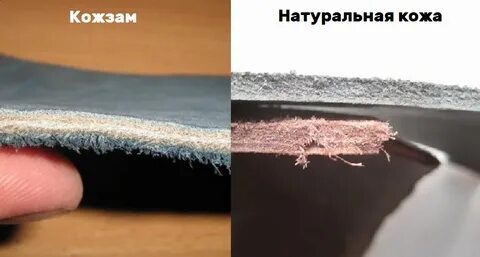 Как отличить кожу натуральную от искусственной куртка