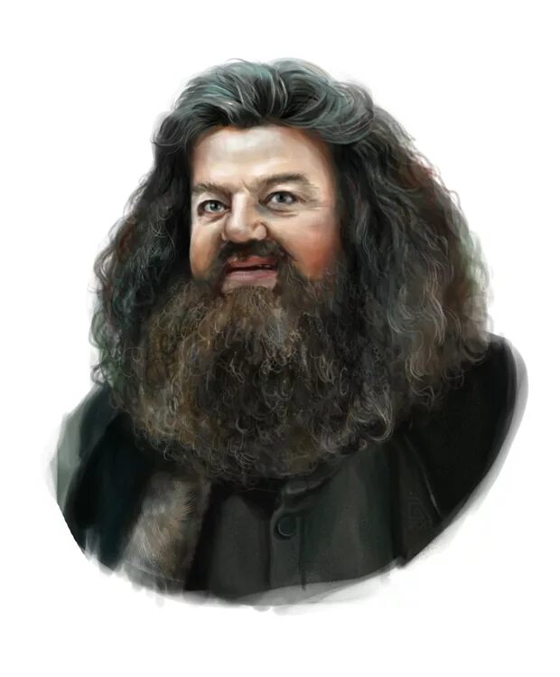 Хагрид поттер. Хагрид гарри поттер. рубеус хагрид. рубеус хагрид и гарри поттер. огриид из гарри поттера.