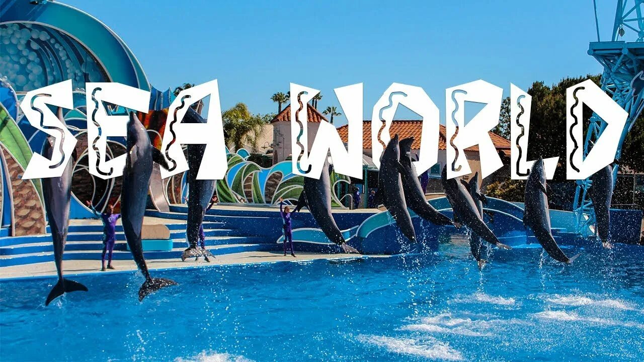 World san. SEAWORLD парк Лос-Анджелес. Сиа ворлд Сан Диего. Парк Sea World Австралия. Море шоу костюмы.