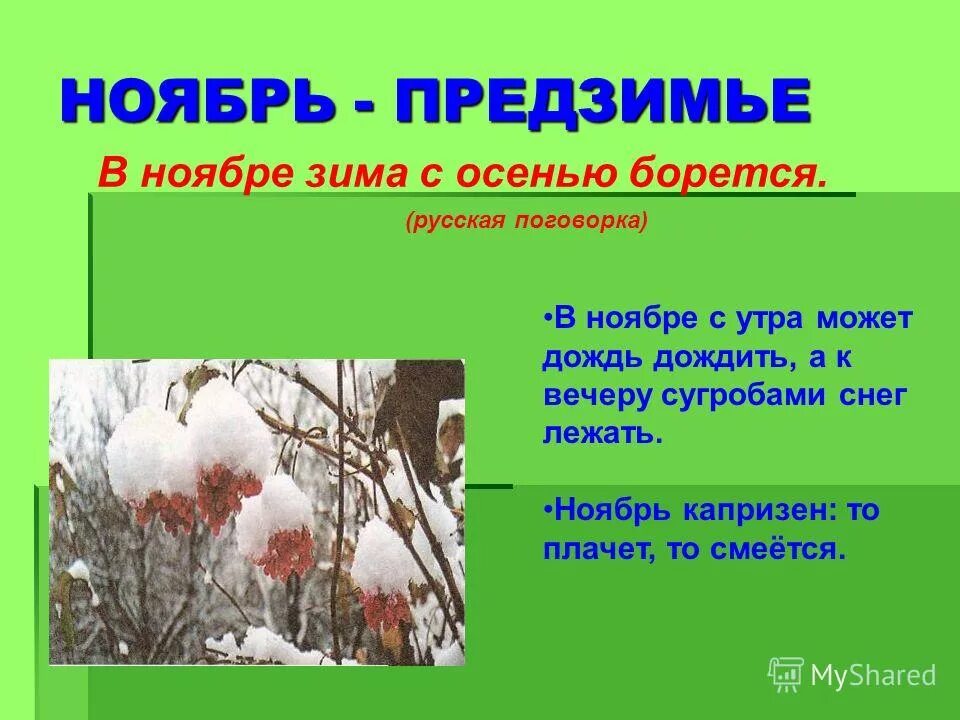 Ноябрь поговорка. Приметы ноября. Приметы ноября для детей. Ноябрь презентация для дошкольников. Ноябрь описание природы.