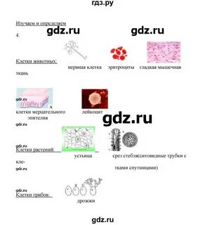 Биология 9 класс касперская