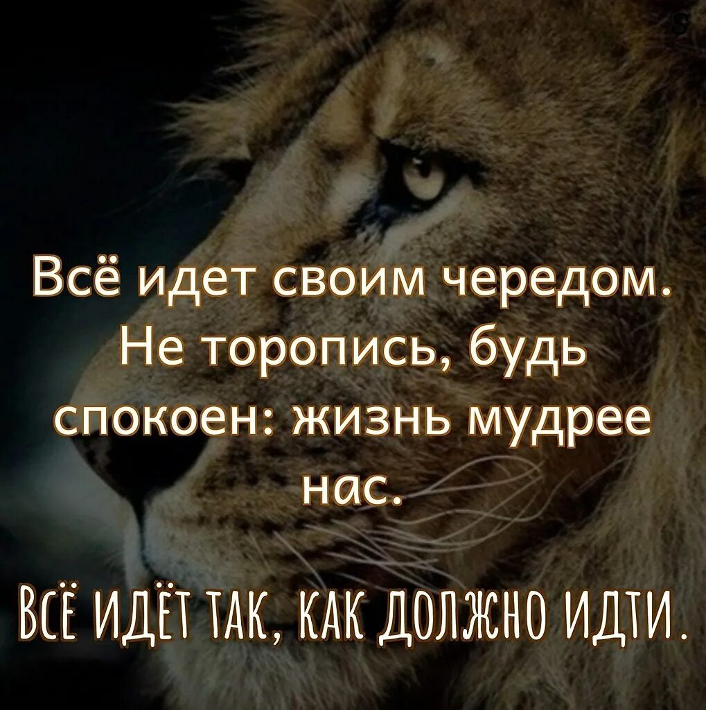 Будь спокоен на английском. Все идет своим чередом. Не торопись все идет своим чередом. Всё идёт своим чередом не торопись будь спокоен жизнь мудрее нас. Всё идёт своим чепедом.