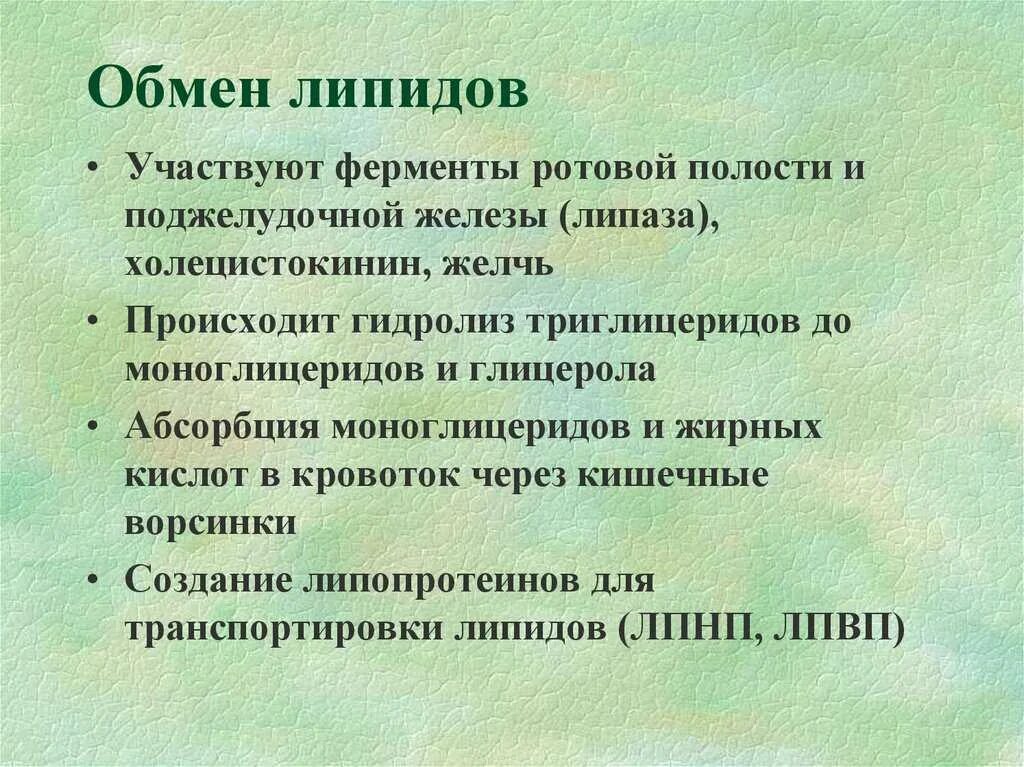 Ферменты расщепления липидов. Обмен липидов. Ферменты обмена липидов. Ферменты липиды. Обмен сложных липидов.