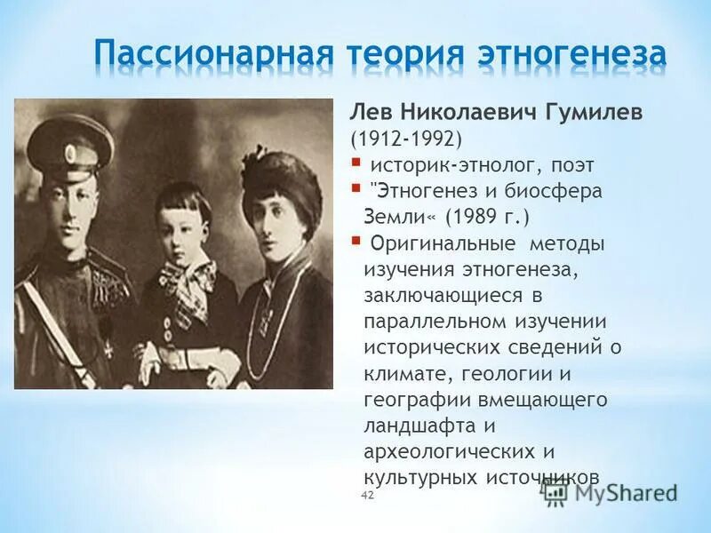 гумилев теория пассионарности. мать николая гумилева. гумилев нации. теория пассионарности гумилева график. лев гумилев историк.