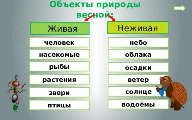 Три объекта природы 2 класс. Объекты природы. Живая и неживая природа весной 2 класс. Объекты природы 2 класс. Цветок живой или неживой предмет.