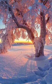 Январь красота