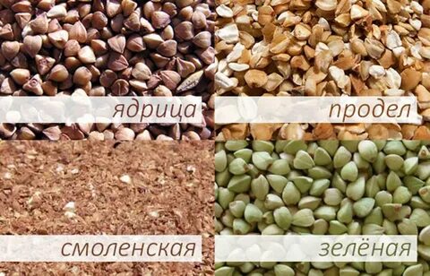 Гречка и ядрица разница