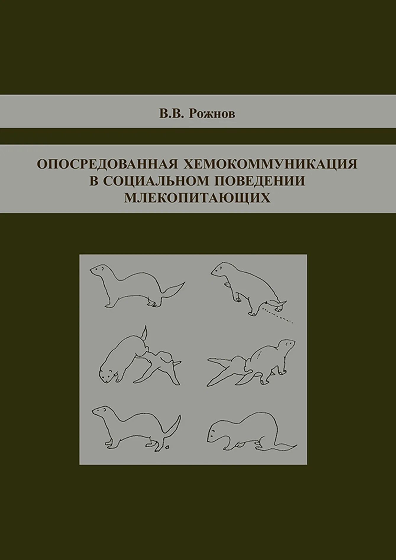 Поведение млекопитающих тест. Поведение млекопитающих. хемокоммуникация животных. социальное поведение у млекопитающих. хемокоммуникация животных примеры.
