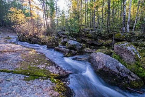 Карповка забайкальский край