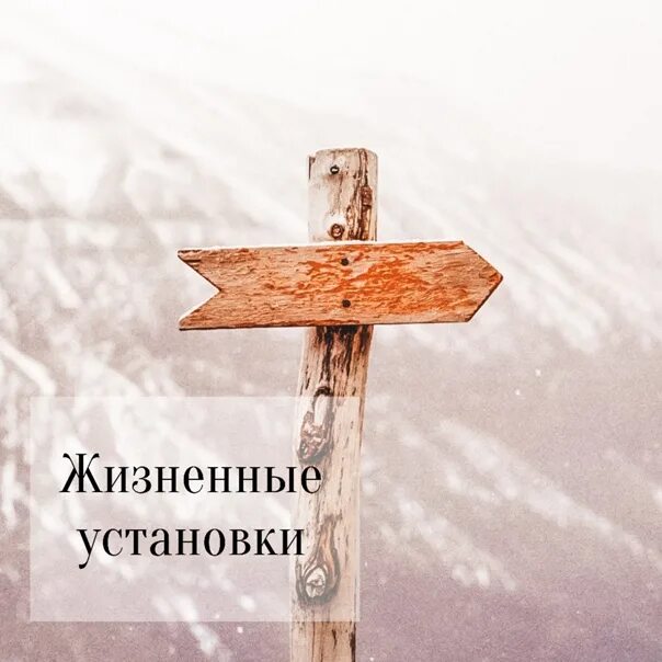 Какой жизненной установкой