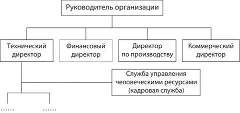 Руководитель потребителя