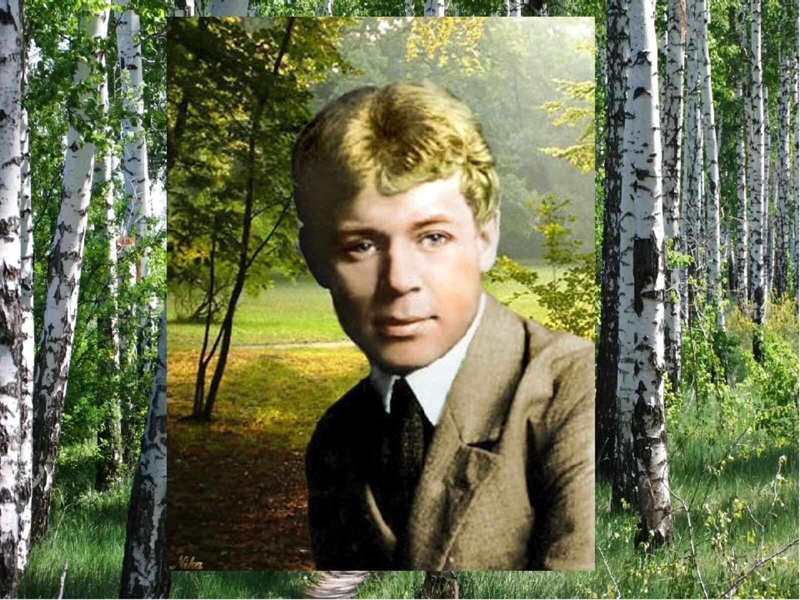 Не зову не а
