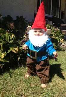 10 gnomes