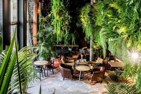 Plant hotel