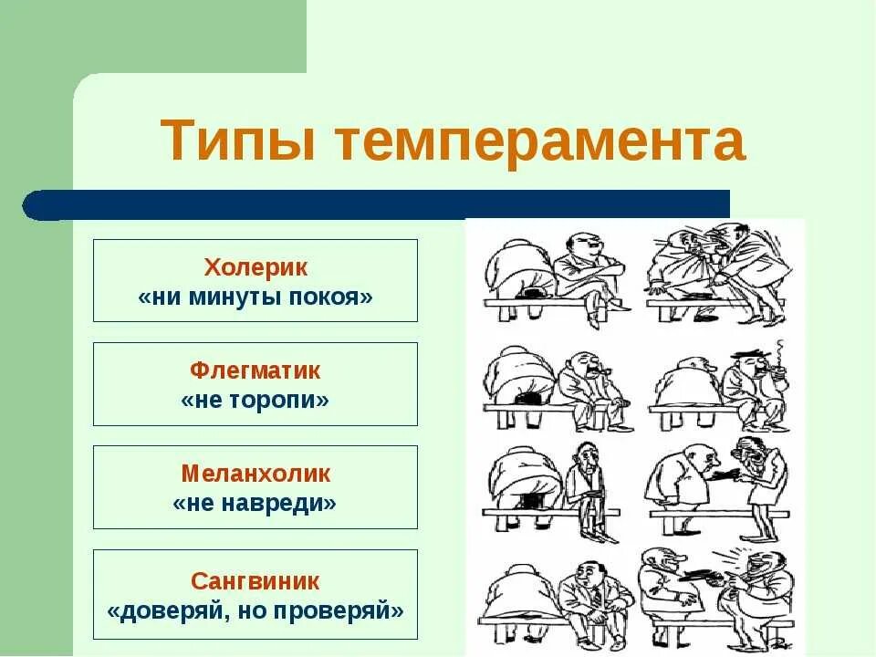 Типы со. Темперамент человека. виды темперамента. тепемперамент человон. типы темперамента человека.