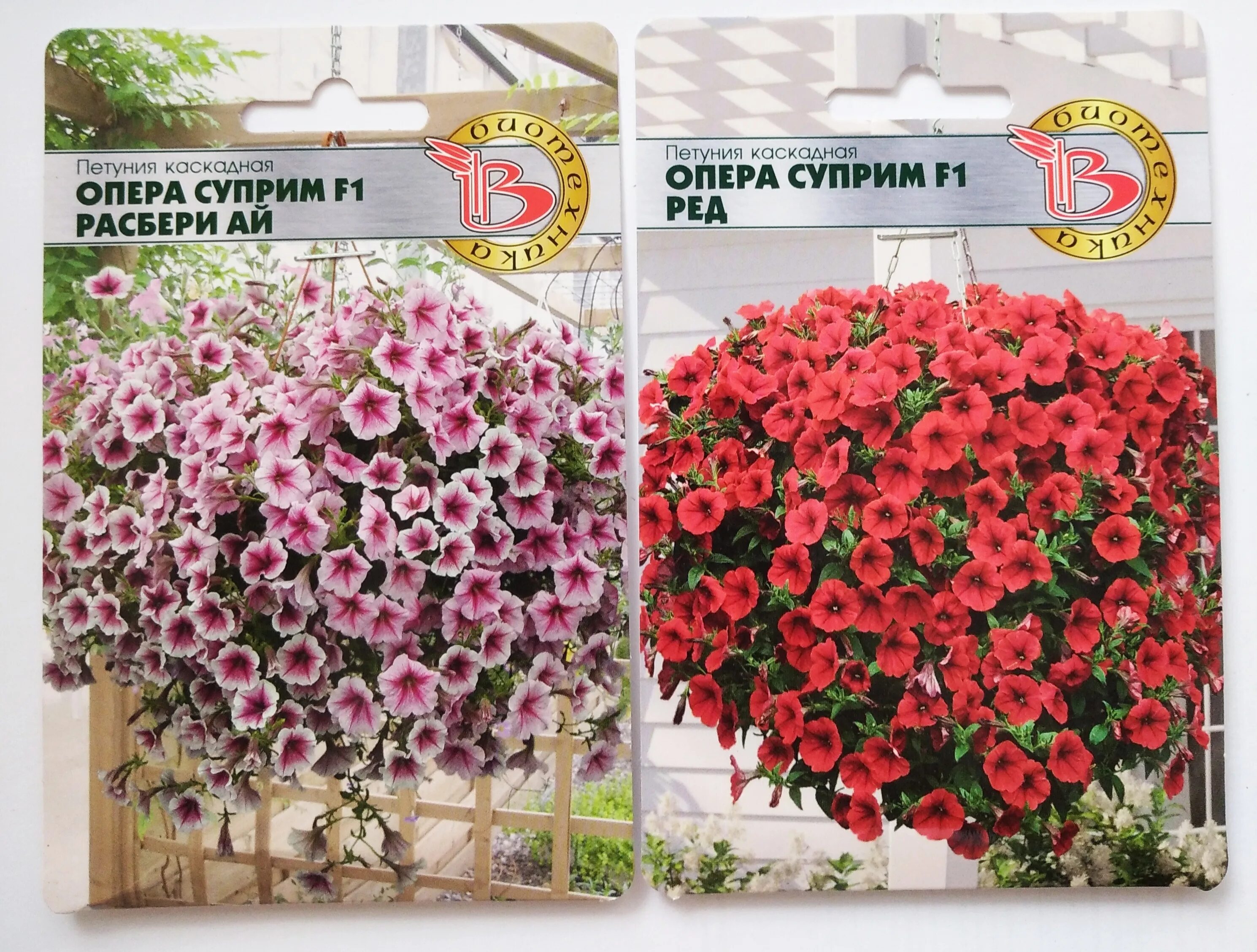 Петуния ампельная опера f1 lilac ice. Петуния каскадная опера суприм f1 лемон. Петуния опера суприм распберри айс. Петуния каскадная опера суприм f1 лемон. Петуния опера семена.
