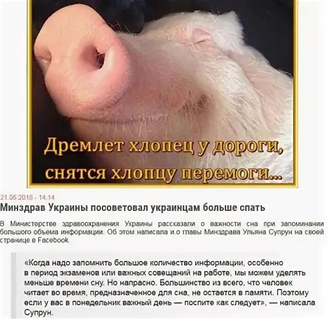 Дремлет какое. Дремлет хлопец у дороги снятся хлопцу перемоги. снятся хлопцу перемоги.