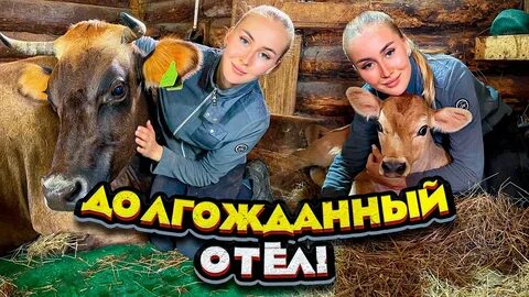 Молодая ферма новое видео