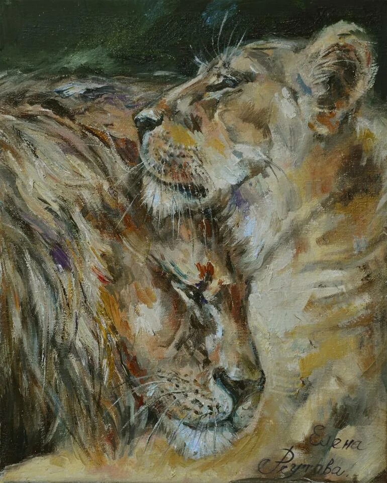 Loving lions