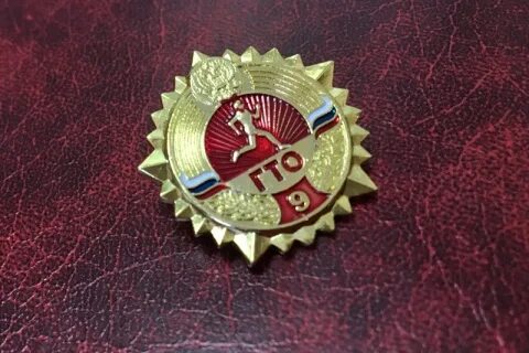 Золотой значок 6 ступень
