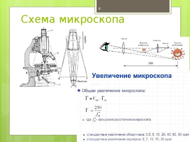 Схема окуляра микроскопа. Оптическая схема микроскопа МБУ-4. Определение увеличения микроскопа. Увеличение окуляра и объектива у микроскопа. Во сколько раз увеличивает объектив микроскопа