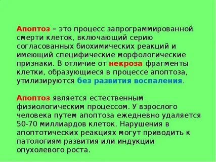 Клеточные заболевания человека