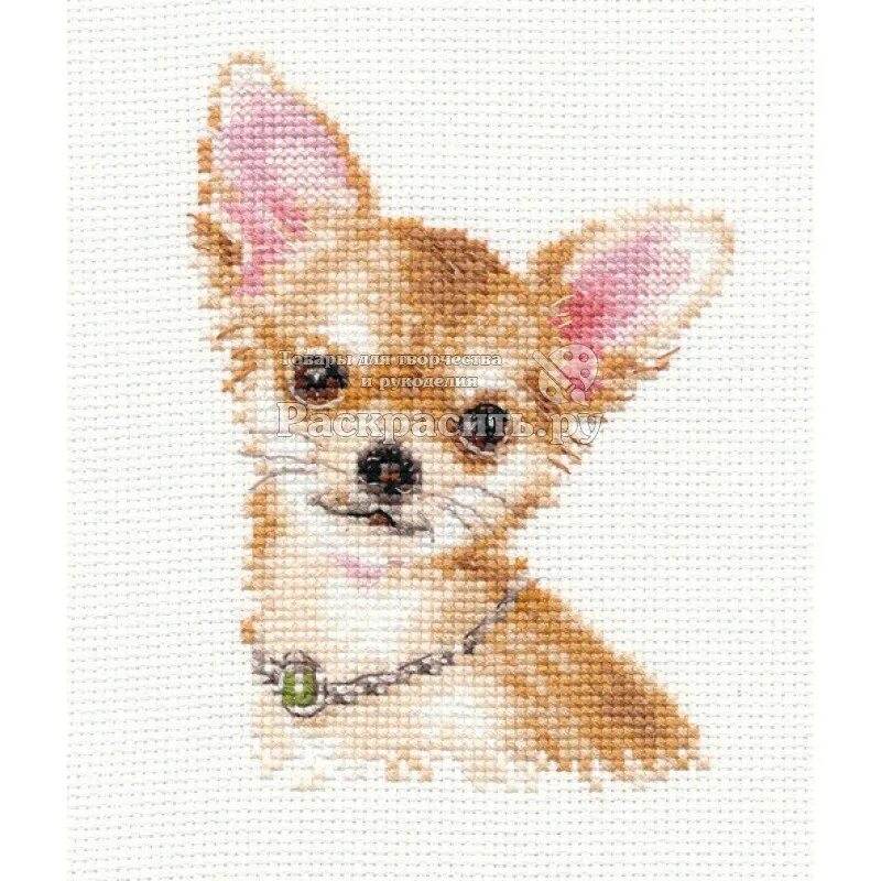 чихуахуа схема. чихуахуа схема. схема вышивки чихуахуа. вышивание крестиком собаку чихуахуа. набор для вышивания алиса 1-30 чихуахуа 10*13см.