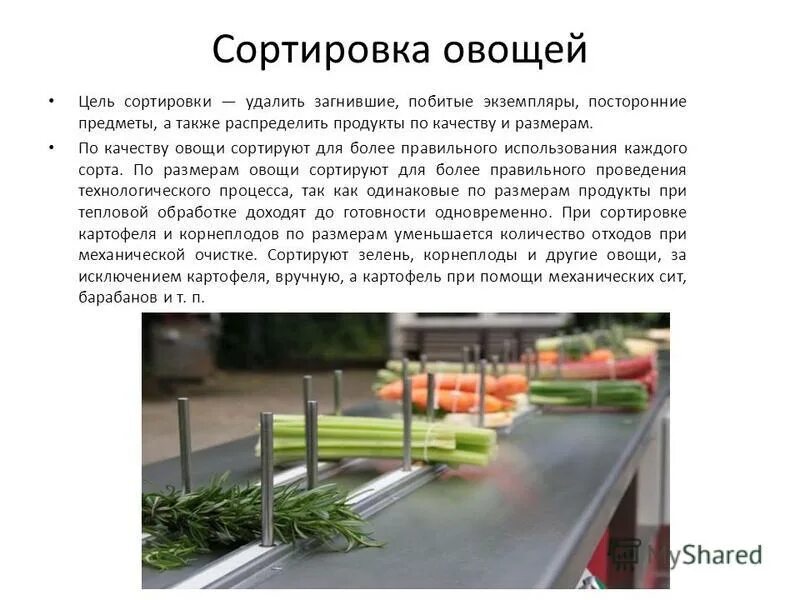 Принципы сортировки больных. Медицинская сортировка. Провести первичную сортировку. Виды медицинской сортировки. История медицинской сортировки.