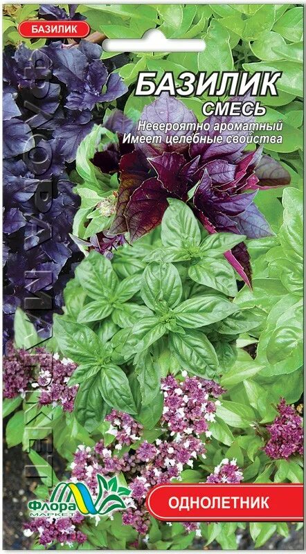 Семена базилик итальянский экспресс "уральский дачник" ц/п. Базилик ароматы востока 0,5г. Базилик карликовый. Базилик овощной крупнолистный сладкий. Базилик шесть ароматов.