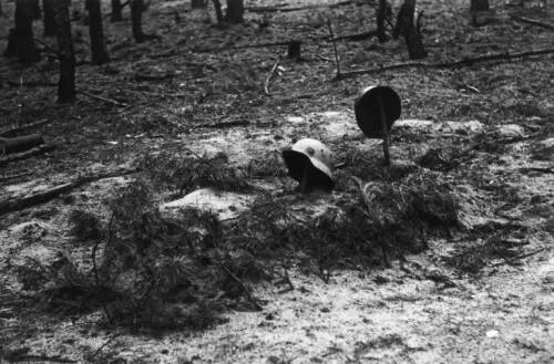 Охотник на демонов rush royale. Охотник на демонов паук. Хавок дх. 5. Истребление 9.