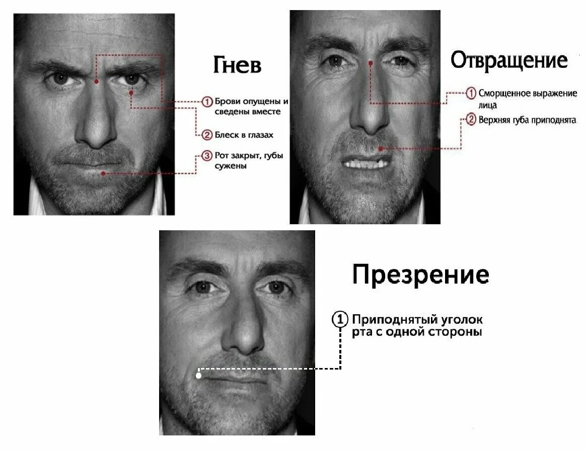 Презрение составить предложение. Презрение эмоция. презрение мимика. мимика отвращение. эмоции человека презрение.