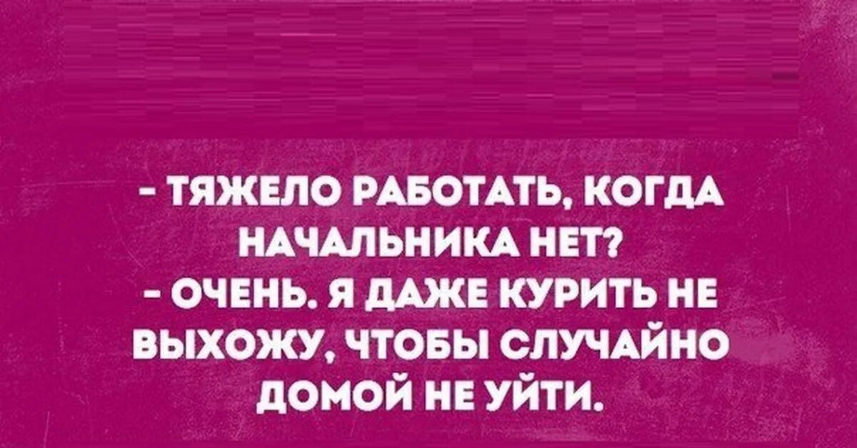 Смешные фразы про руководителей. Начальник в отпуске. Шутки про отпуск начальника. Прикольные высказывания про начальника. Пришла к начальнику мужа