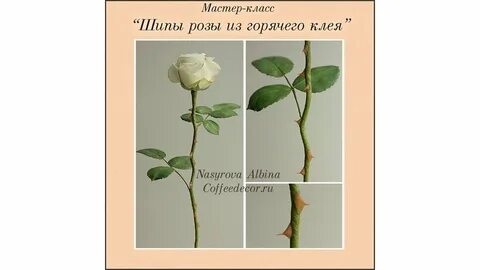 Уколола палец шипом розы что делать