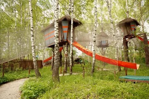 Дикие белки